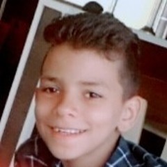 Hany M Radwan