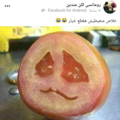 ندي إبراهيم خليل