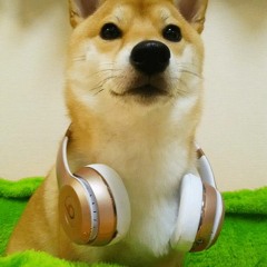 DJ Dog