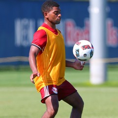 Stefan Gittens