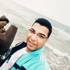 Ali A Zalat