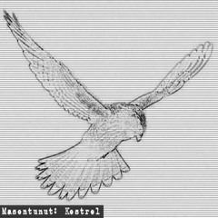 Masentunut