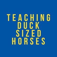 Teaching Duck Sized Horses