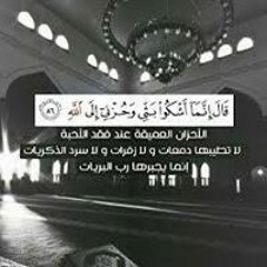 user679078611