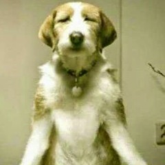 Tenacious Tonya Heathco