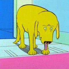 Rover Goes To Rehab