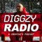 Diggzy Radio: A Creative's Podcast