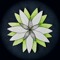 Blooming Late - original music & game music remix