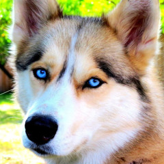 Kathleen Del Río Camacho