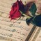 Omar Ahmad