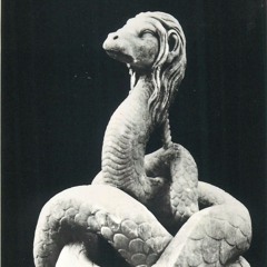 Tam Nisam