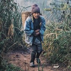 Quang Nguyen