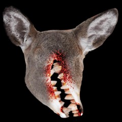 WICKED BAD TUMMY ACHES