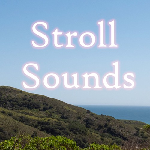 Stroll Sounds’s avatar