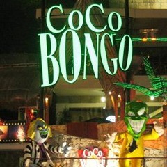 ＣＯＣＯＢＯＮＧＯ 🥥