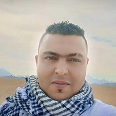 محمد السحاح