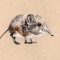 Hung Like A Shrew