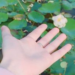 Lan Anh