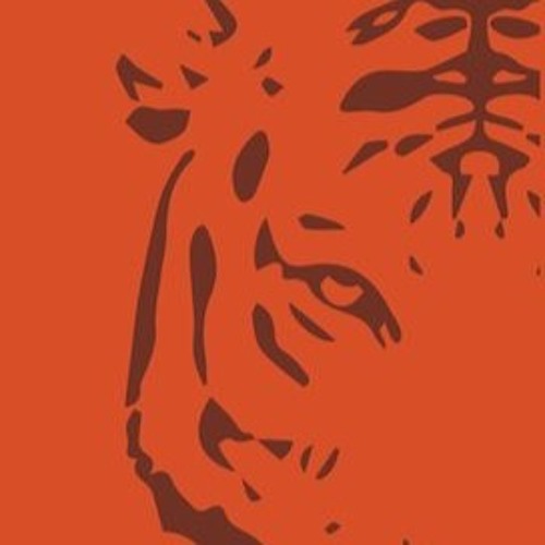 bashful tiger