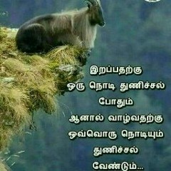 barani ug