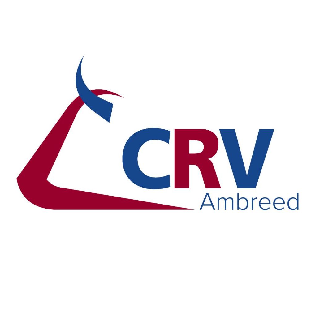 CRV Ambreed