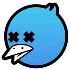 NoisySquid