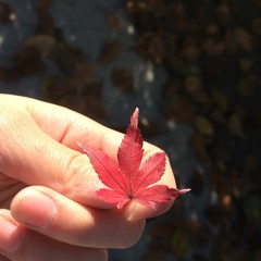 HyperactivityRuledLM