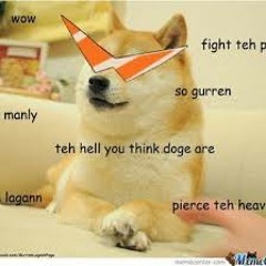 Derpydoge127 `
