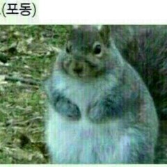 톰하디 틱톡 음악풀버전 Dan Farber Don t Touch_220807774.mp3
