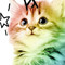 Ro Chan