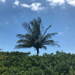 miamideep