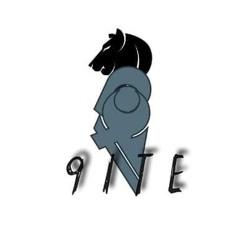 9ite