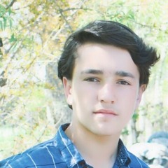 shahzada tafheem uddin