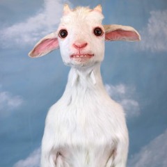 JamesTheBillyGoat