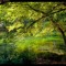 Green Echoes