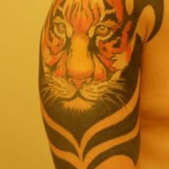 Tiger Lee