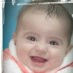 Amr Zaza