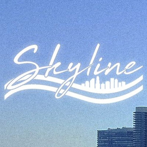 Skyline Collective’s avatar