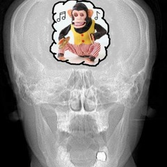 The Surgical Theatre