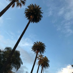 IRDK (I Really Don't Know)