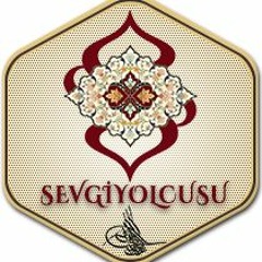 Sevgiyolcusu