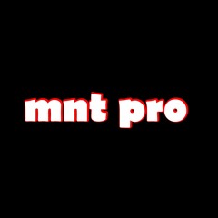 mnt pro