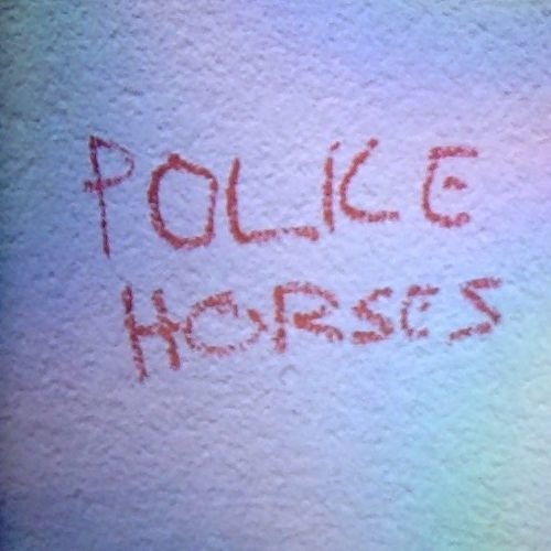 POLICE HORSES’s avatar