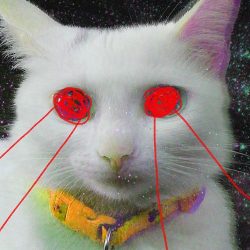 Mèow Lạc’s avatar