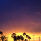 cali dayss