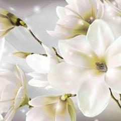 Amaryllis Daahir