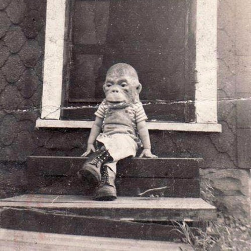 dreamer at sea - 04:02:2023 16.37