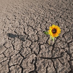 The Middle of Nowhere