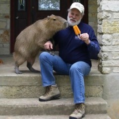 Mr.Alex&TheCapybaras