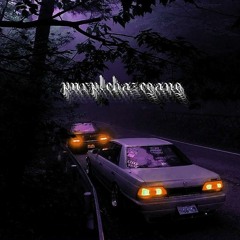 PURPLEHΛZE || STREET TRIBE GANG